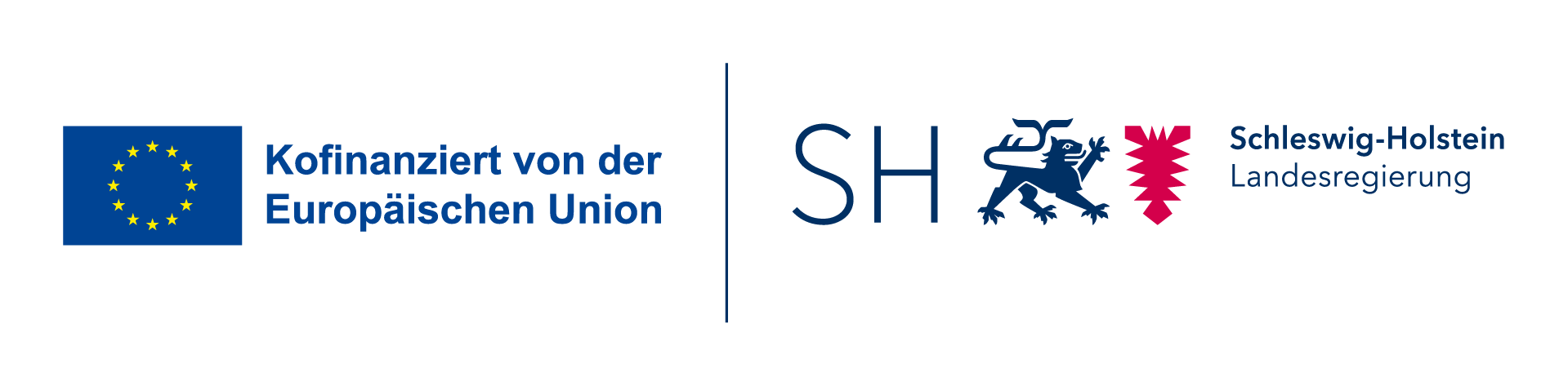 Hochtemperatur-Spindelpumpenkompressor für Wasser als Kältemittel